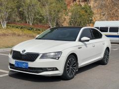 Skoda Superb White 2018