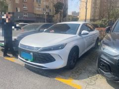 BYD QinL White 2024