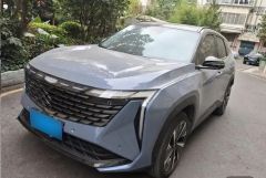 Geely StarRay Other 2023