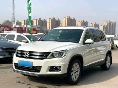 Volkswagen Tiguan White 2010