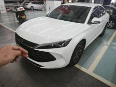 BYD QinL White 2024