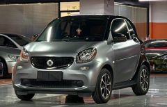 smart smart Gray 2015