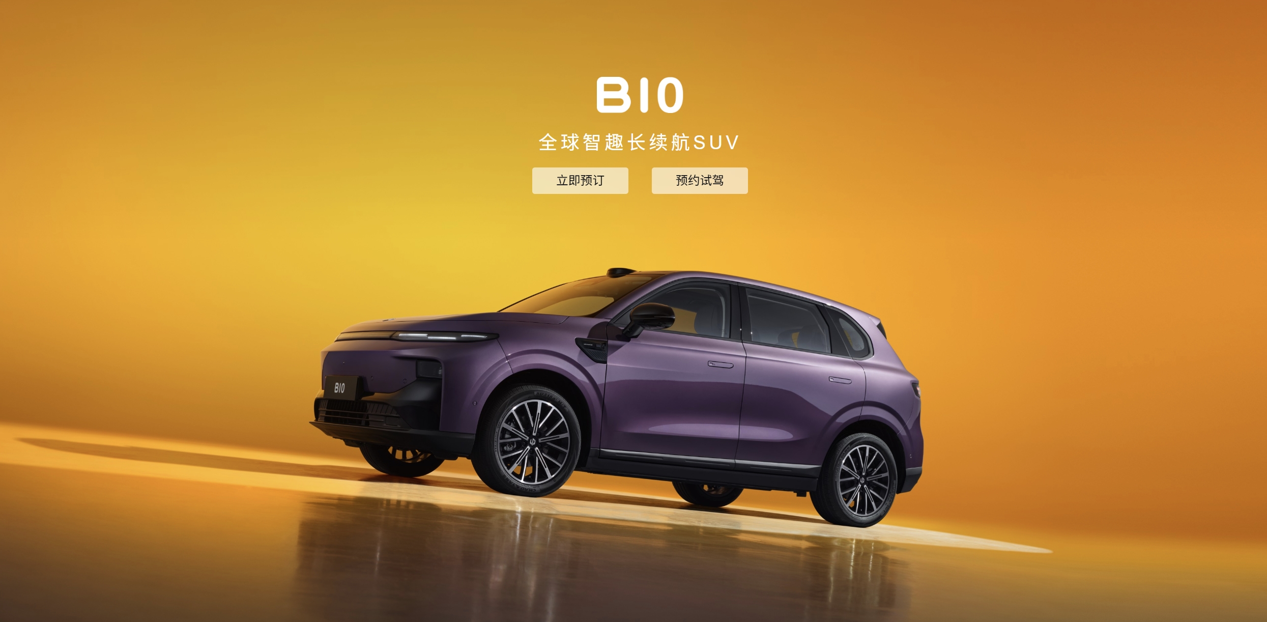 New 2025 Leapmotor B10 SUV EV